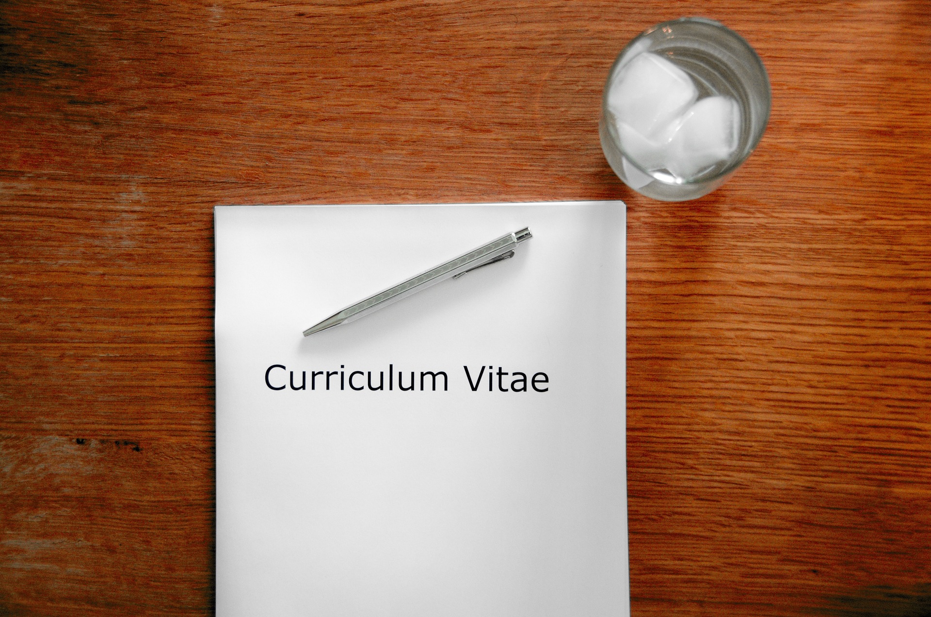 Modelo de Curriculum Vitae grátis para Download 2024