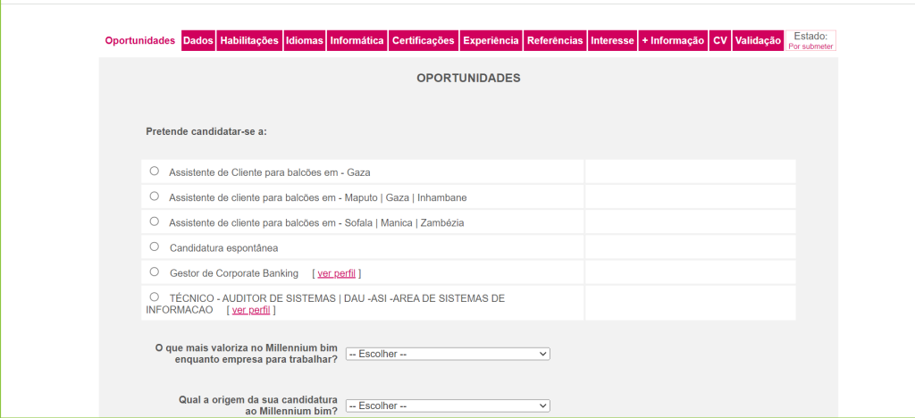 site de recrutamento do Millennium bim