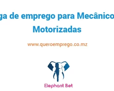 A Elepfant Bet está a recrutar (1) Mecânico de Motorizadas