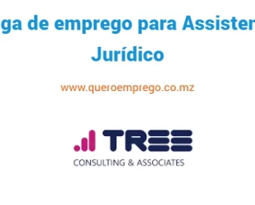 A Tree Consulting está a recrutar (1) Assistente Jurídico